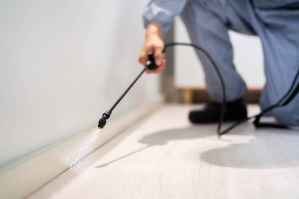 Certified termite inspector examining foundation in Abingdon